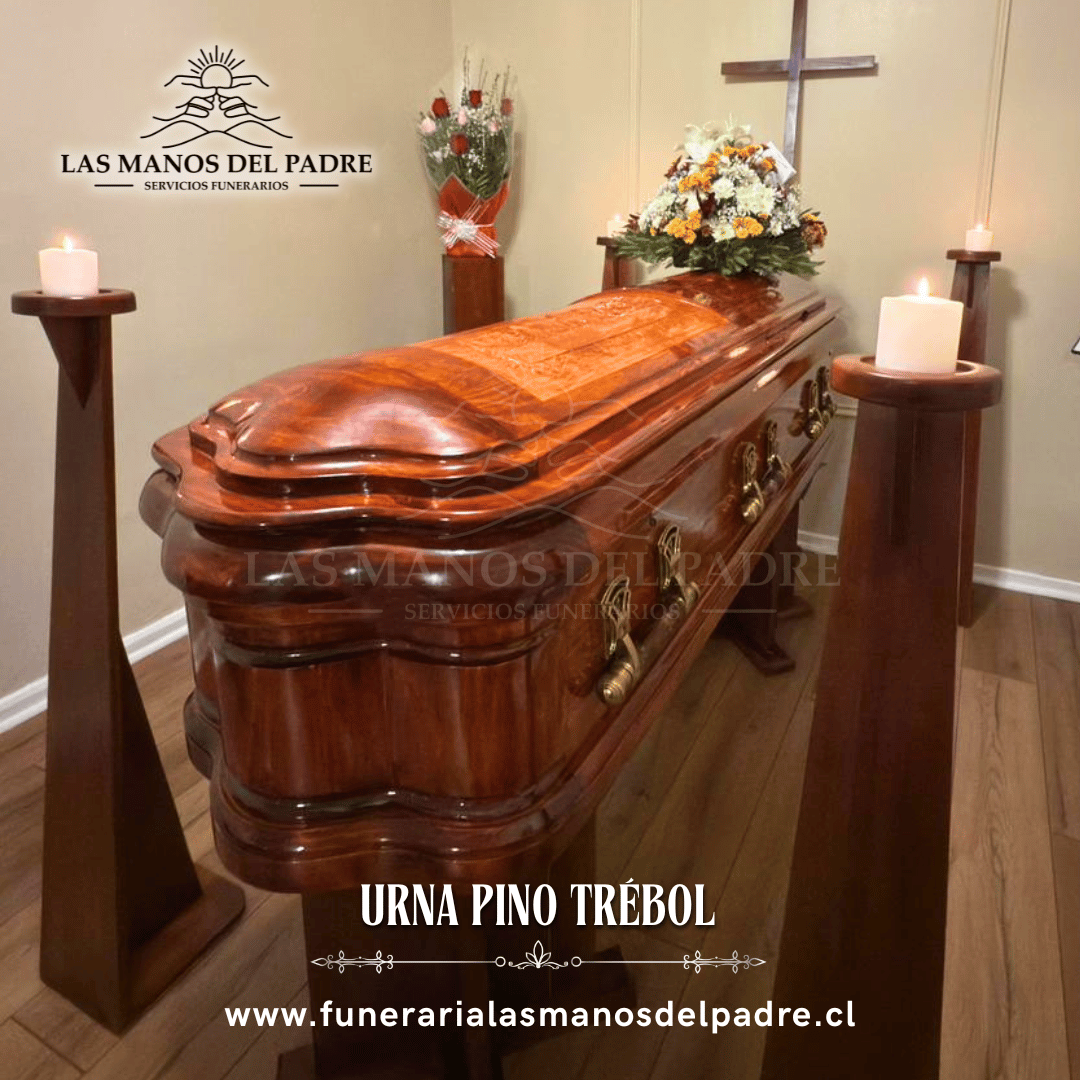 Urna Pino Trébol
